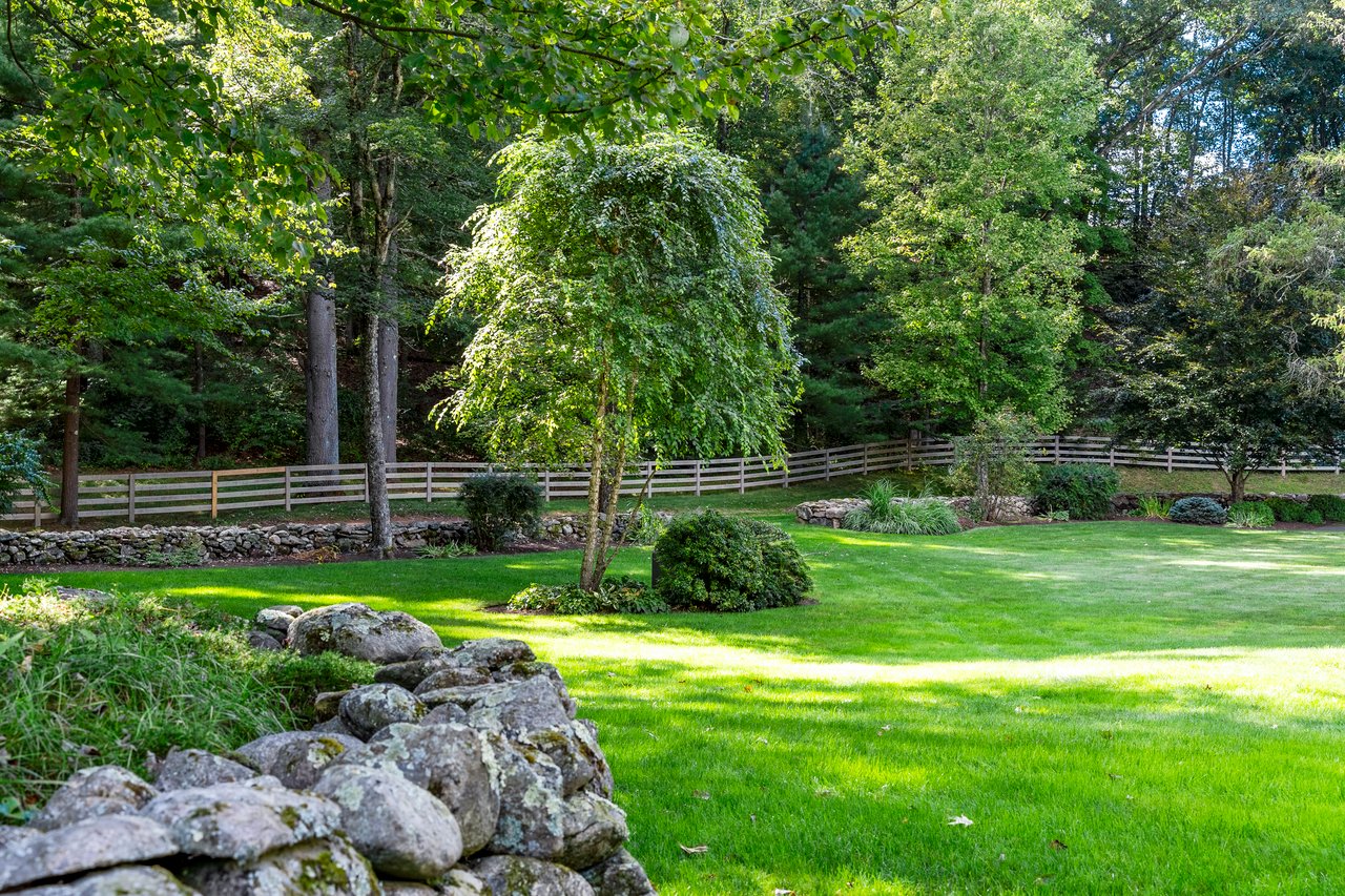 Expansive backyard with emerald lawn