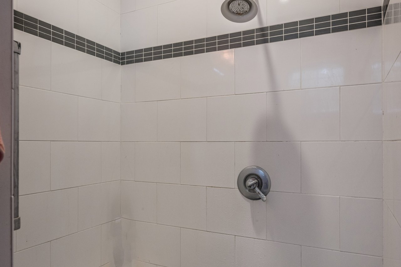 Lower Level Shower