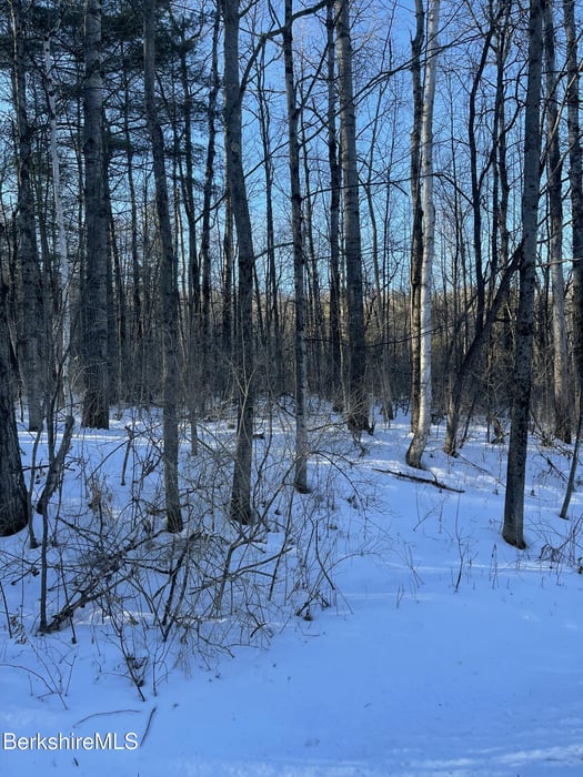 Lot 39 Partridge Rd Photo 16