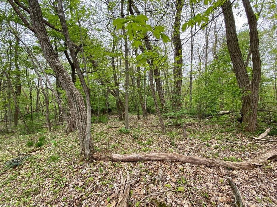 1801 Spring Valley Road Photo 9