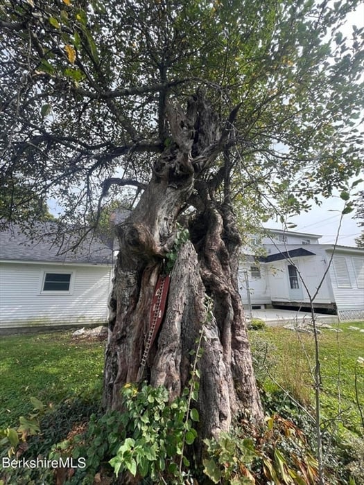 321 High St Photo 11
